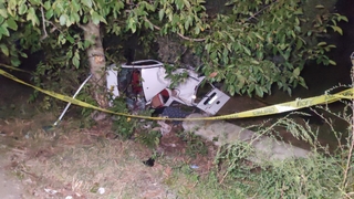 Domuza çarpan araç zeytinliğe uçtu: 2 ölü