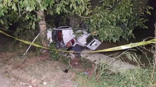 Domuza çarpan araç zeytinliğe uçtu: 2 ölü