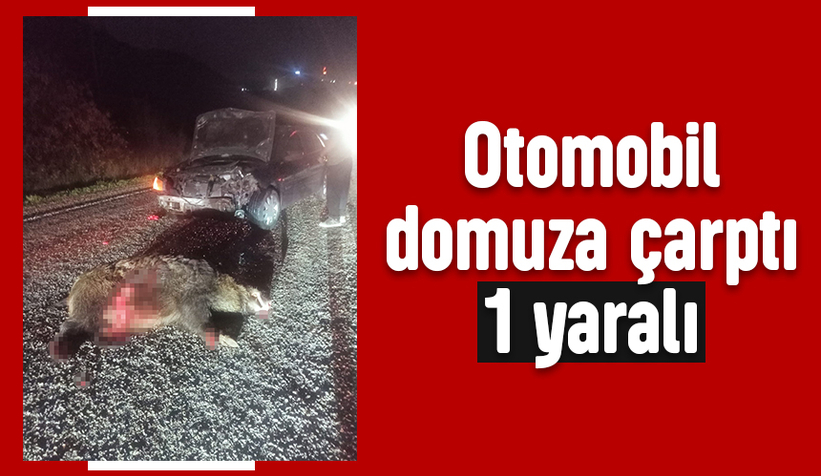 Domuza çarpan otomobil hurdaya döndü: 1 yaralı