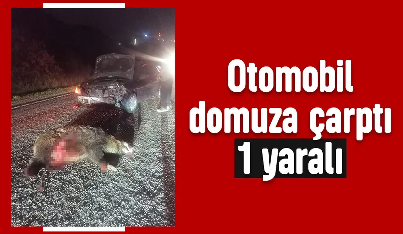 Domuza çarpan otomobil hurdaya döndü: 1 yaralı