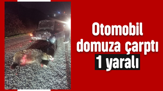 Domuza çarpan otomobil hurdaya döndü: 1 yaralı