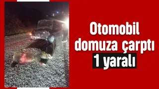 Domuza çarpan otomobil hurdaya döndü: 1 yaralı