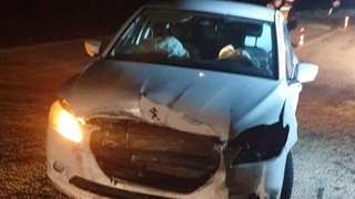 Domuza çarptı, yolda kaldı