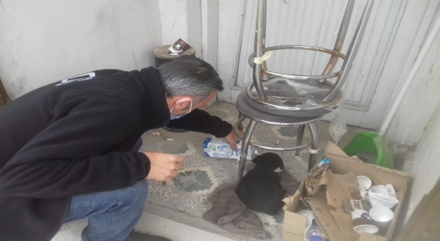 Donmak üzere olan köpeği ekip otosunda ısıttılar