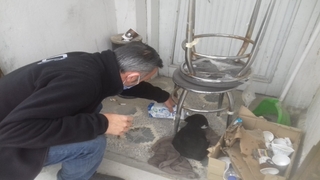 Donmak üzere olan köpeği ekip otosunda ısıttılar