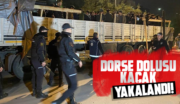 Dorseyi açan polis şok oldu; 150 kaçak çıktı