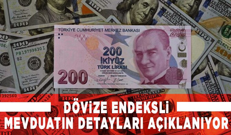 Dövize endeksli Türk Lirası mevduatın detayları açıklanıyor