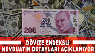 Dövize endeksli Türk Lirası mevduatın detayları açıklanıyor