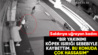 Dükkanını açarken sokak köpeklerinin saldırısına uğradı
