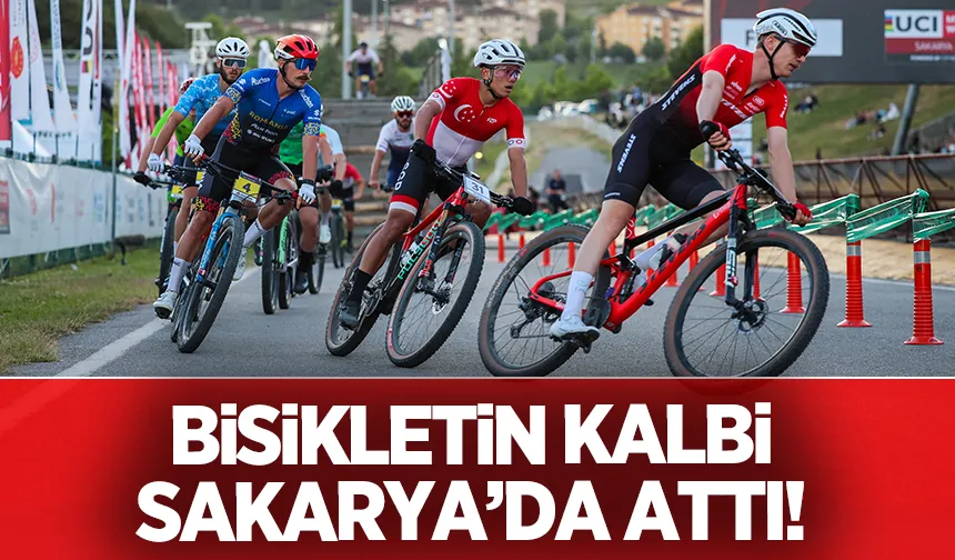 Dünya Kupası heyecanı muhteşem finalle taçlandı