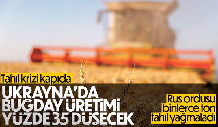 Dünyada tahıl krizi yolda