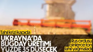 Dünyada tahıl krizi yolda