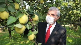 Dünyanın ayvasını şehrimiz üretiyor