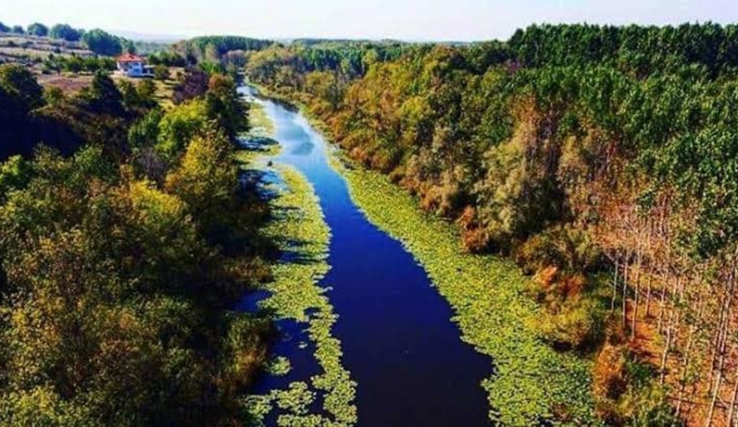 Dünyanın gözbebeği olacak