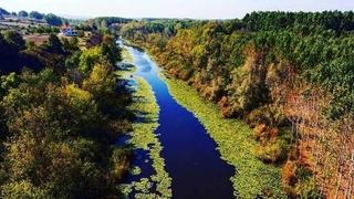 Dünyanın gözbebeği olacak