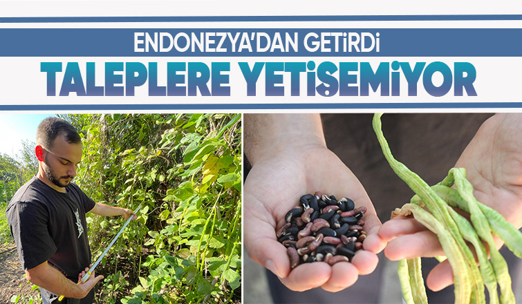 Dünyanın her ülkesinde, Türkiye'de ise sadece Sakarya'da var