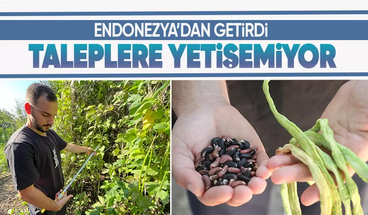 Dünyanın her ülkesinde, Türkiye'de ise sadece Sakarya'da var