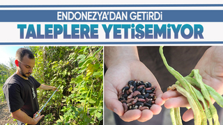 Dünyanın her ülkesinde, Türkiye'de ise sadece Sakarya'da var