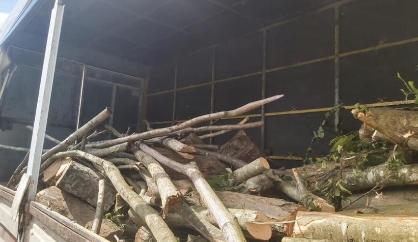 Durdurulan kamyondan 3 ton kaçak orman ürünü çıktı