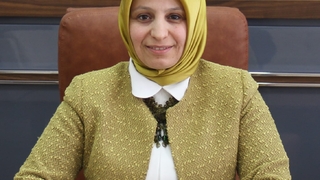 Durmuş Sakarya'nın İl oluşuna kutladı