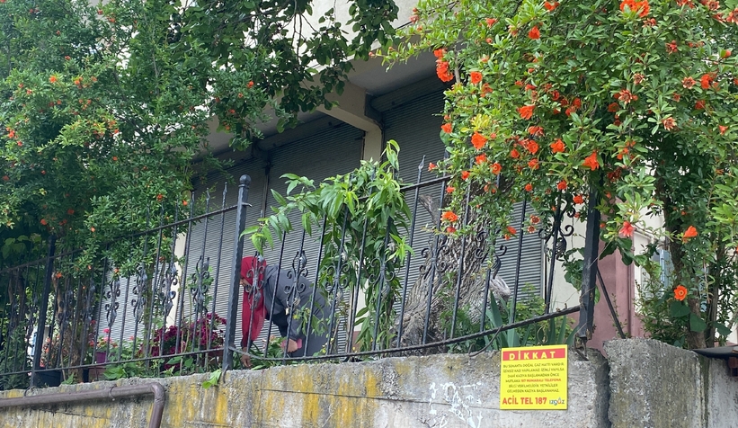 Dut toplarken ağaçtan düşüp demir korkuluklara saplandı