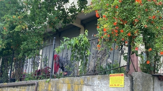 Dut toplarken ağaçtan düşüp demir korkuluklara saplandı