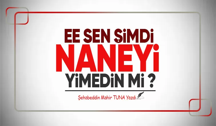 EE SEN ŞİMDİ NANEYİ YİMEDİN Mİ