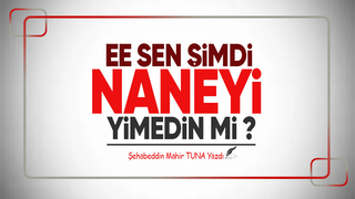 EE SEN ŞİMDİ NANEYİ YİMEDİN Mİ 