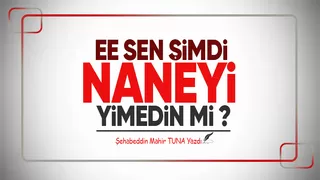 EE SEN ŞİMDİ NANEYİ YİMEDİN Mİ 