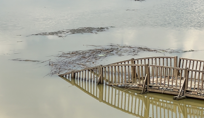 Efteni Gölü'nde hasarın boyutu ortaya çıktı