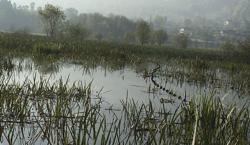 Efteni Gölü'nde kaçak avlanmaya geçit yok