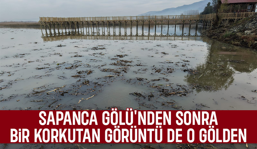 Efteni Gölü’nde korkutan fokurtu