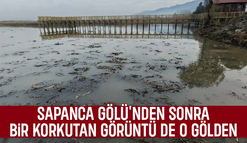 Efteni Gölü’nde korkutan fokurtu