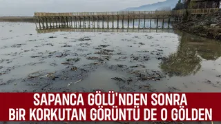 Efteni Gölü’nde korkutan fokurtu