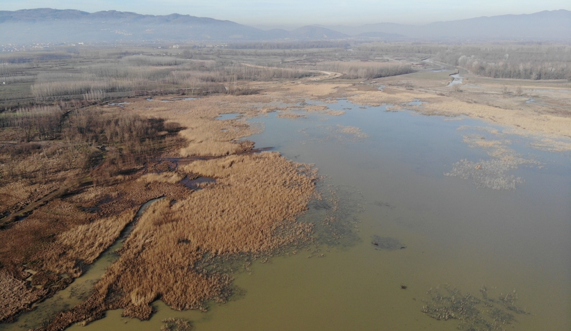 Efteni Gölü’nün yüzeyi temizleniyor
