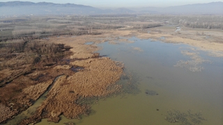 Efteni Gölü’nün yüzeyi temizleniyor