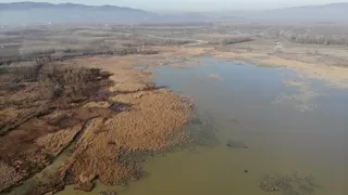 Efteni Gölü’nün yüzeyi temizleniyor