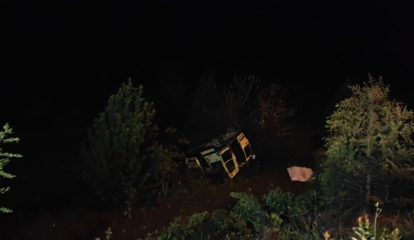 Ehliyetsiz sürücü ağaçlık alana uçtu: 2 yaralı