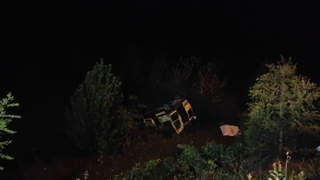 Ehliyetsiz sürücü ağaçlık alana uçtu: 2 yaralı