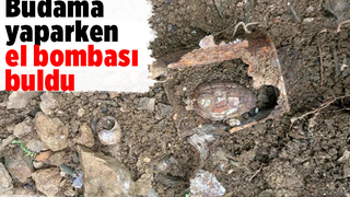 El bombası buldu