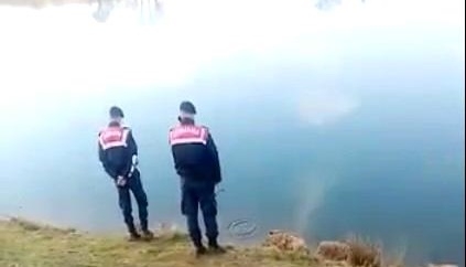 El freni çekilmeyen araç gölete uçtu