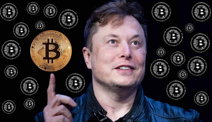 Elon Musk'tan kripto para dolandırıcılarına tepki
