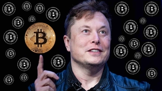Elon Musk'tan kripto para dolandırıcılarına tepki