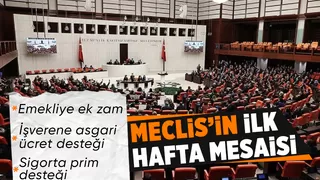 Emekliye zam bu hafta Meclis Genel Kurulu'nda görüşülecek