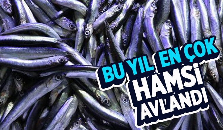 En çok avlanan balıklar belli oldu