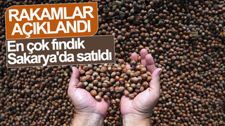 En çok fındık Sakarya'da satıldı
