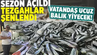 En taze balıklar Balıkçı Hüseyin'de