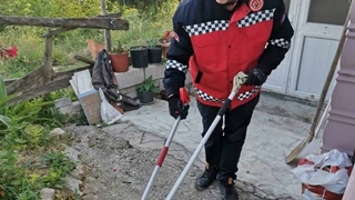 En zehirli yılan türleri arasında, ardiyede yakalandı