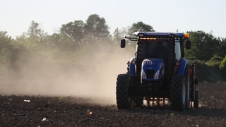 Endüstriyel kenevirin ikinci üretim sezonu başladı