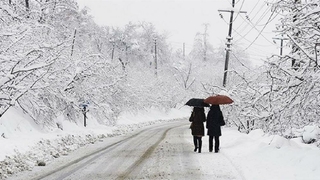 Engelli ve hamile kamu personeline kar izni